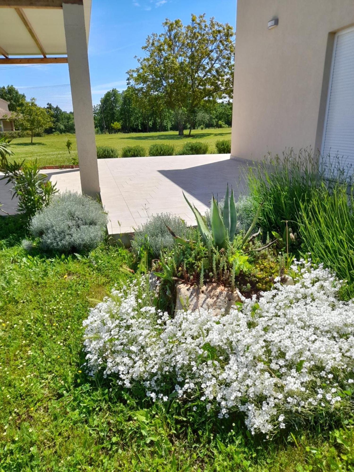 House Carla Belavici Villa Hreljići Exteriör bild